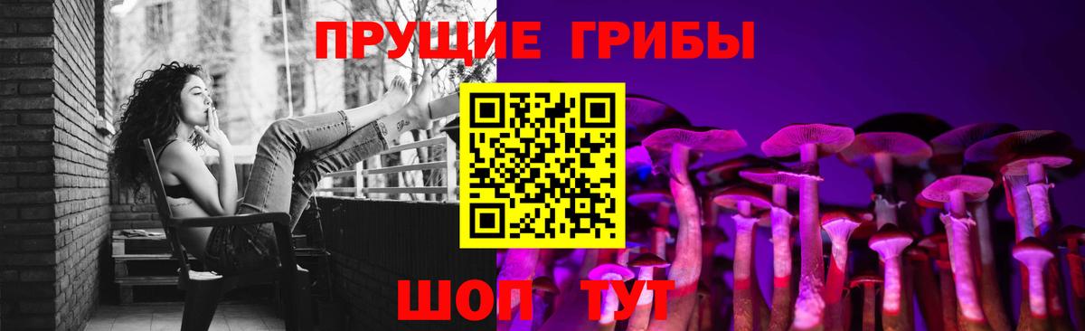 Сухой Лог  Псилоцибиновые грибы Psilocybine cubensis  Вход с VPN  Псилоцибиновые грибы прущие грибы 
